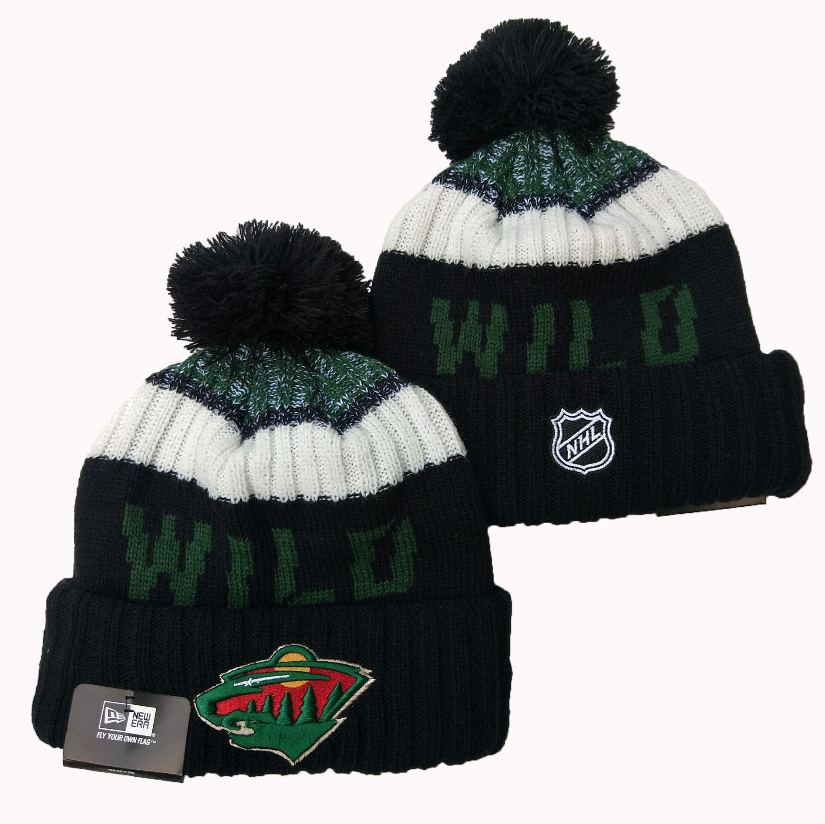 Minnesota Wild Knit Hats 001