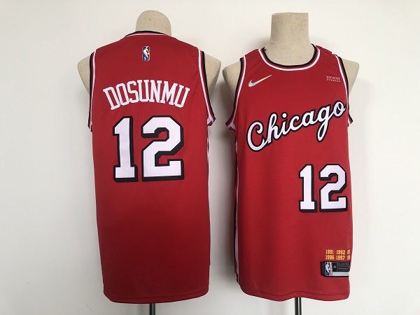 Men's Chicago Bulls #12 Ayo Dosunmu Red Stitched Basketball Jersey