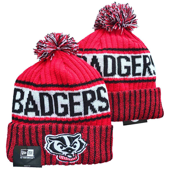 Wisconsin Badgers Knit Hats 001