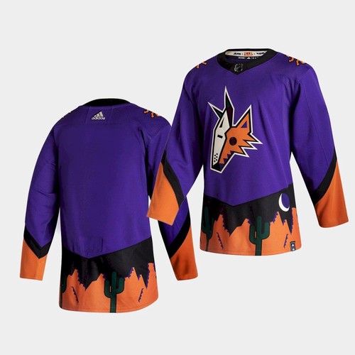 Men's Arizona Coyotes Blank Purple 2020-21 Reverse Retro Stitched NHL Jersey