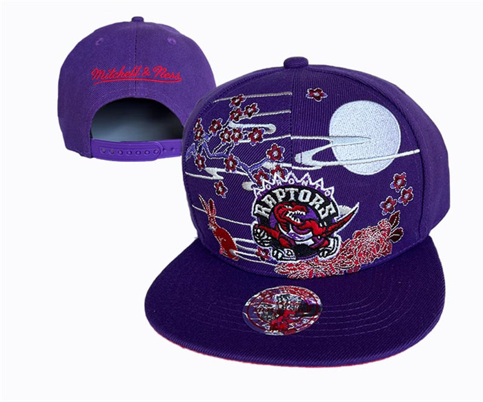 Toronto Raptors Stitched Snapback Hats 0026